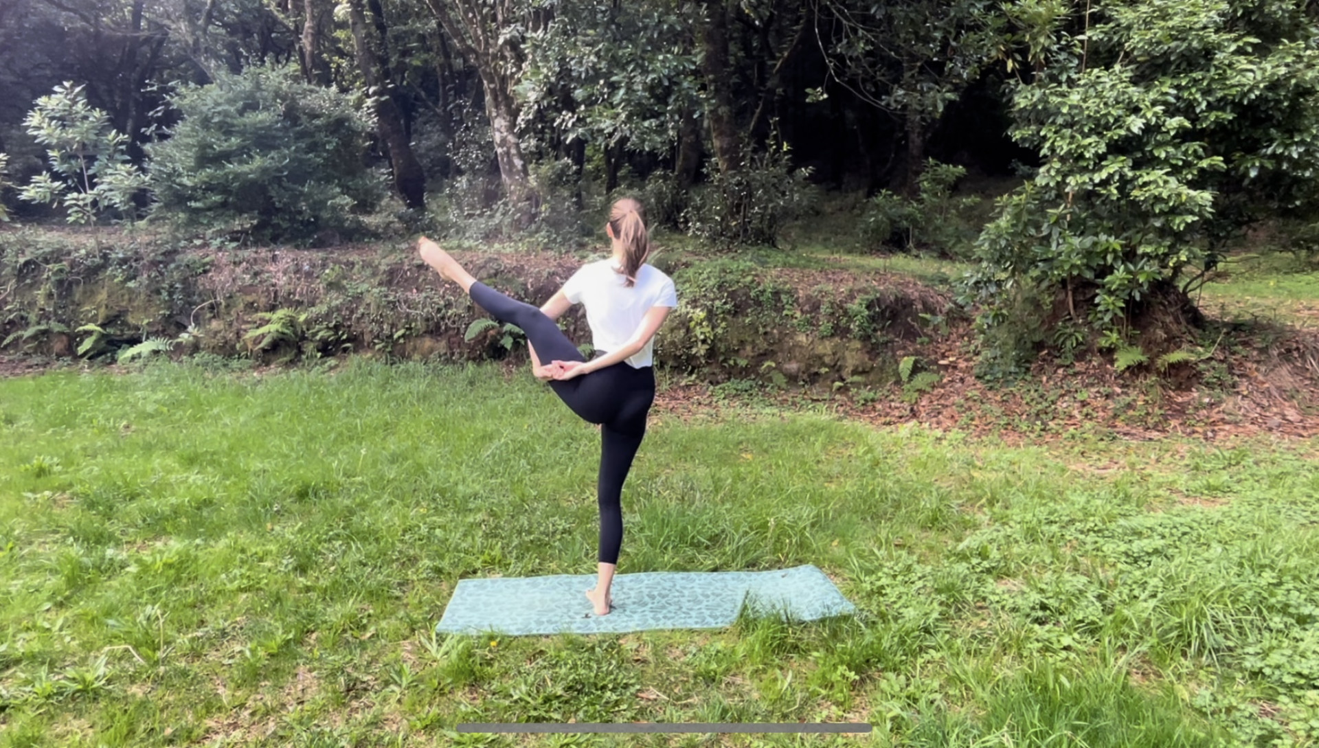 Paradicsommadár: Erő, egyensúly, könnyedség